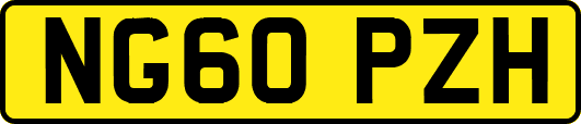 NG60PZH