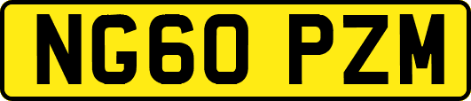 NG60PZM