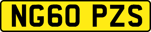 NG60PZS