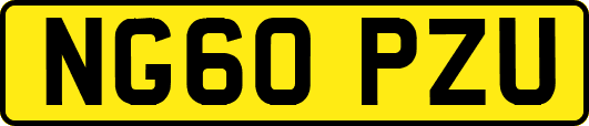 NG60PZU