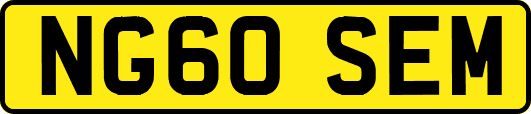 NG60SEM