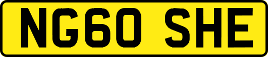 NG60SHE
