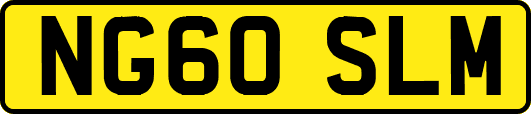 NG60SLM