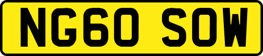 NG60SOW