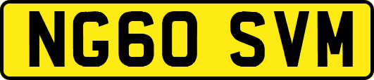 NG60SVM