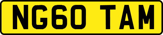 NG60TAM