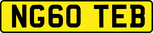 NG60TEB