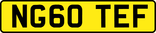 NG60TEF
