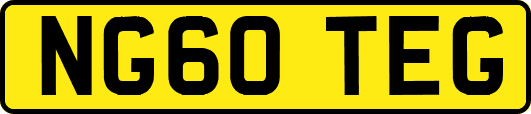 NG60TEG