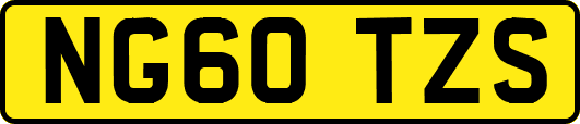 NG60TZS