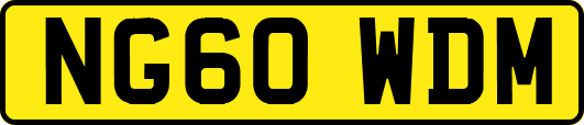 NG60WDM