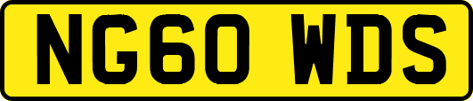 NG60WDS