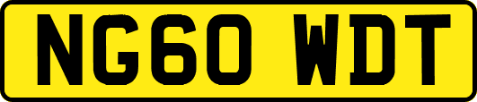 NG60WDT