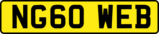 NG60WEB