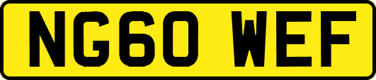 NG60WEF