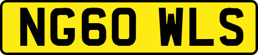 NG60WLS