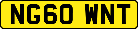 NG60WNT
