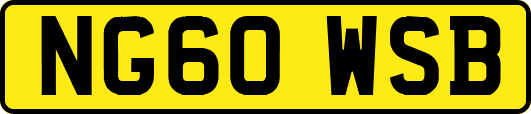 NG60WSB