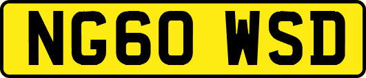 NG60WSD