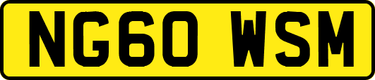 NG60WSM