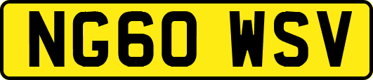 NG60WSV