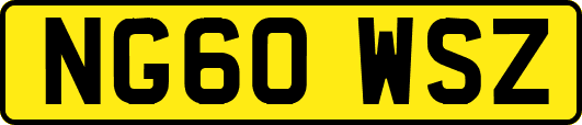 NG60WSZ