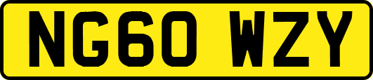 NG60WZY