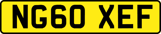 NG60XEF