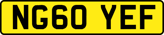 NG60YEF