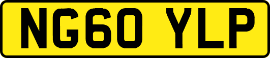 NG60YLP