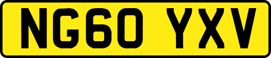 NG60YXV