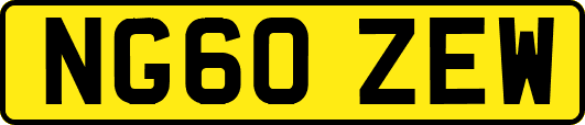 NG60ZEW