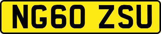 NG60ZSU
