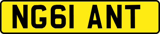 NG61ANT