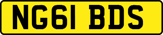 NG61BDS