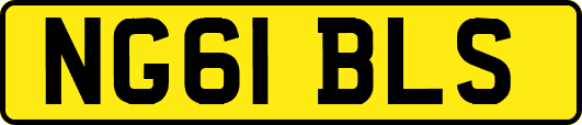 NG61BLS