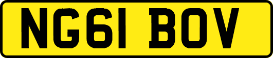 NG61BOV