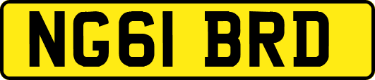 NG61BRD