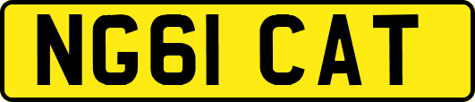 NG61CAT
