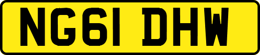 NG61DHW