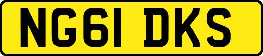 NG61DKS