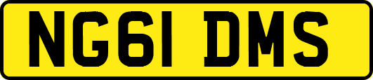 NG61DMS