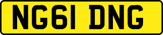 NG61DNG