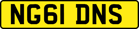 NG61DNS