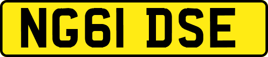 NG61DSE