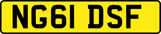 NG61DSF