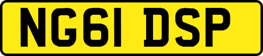 NG61DSP