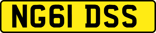 NG61DSS