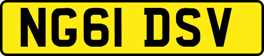 NG61DSV