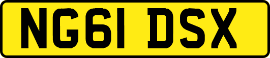 NG61DSX